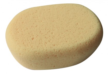 Esponja ovalada