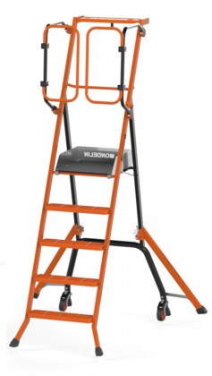 ESCALERA DE SEGURIDAD PIRL GARDIA 110 cm